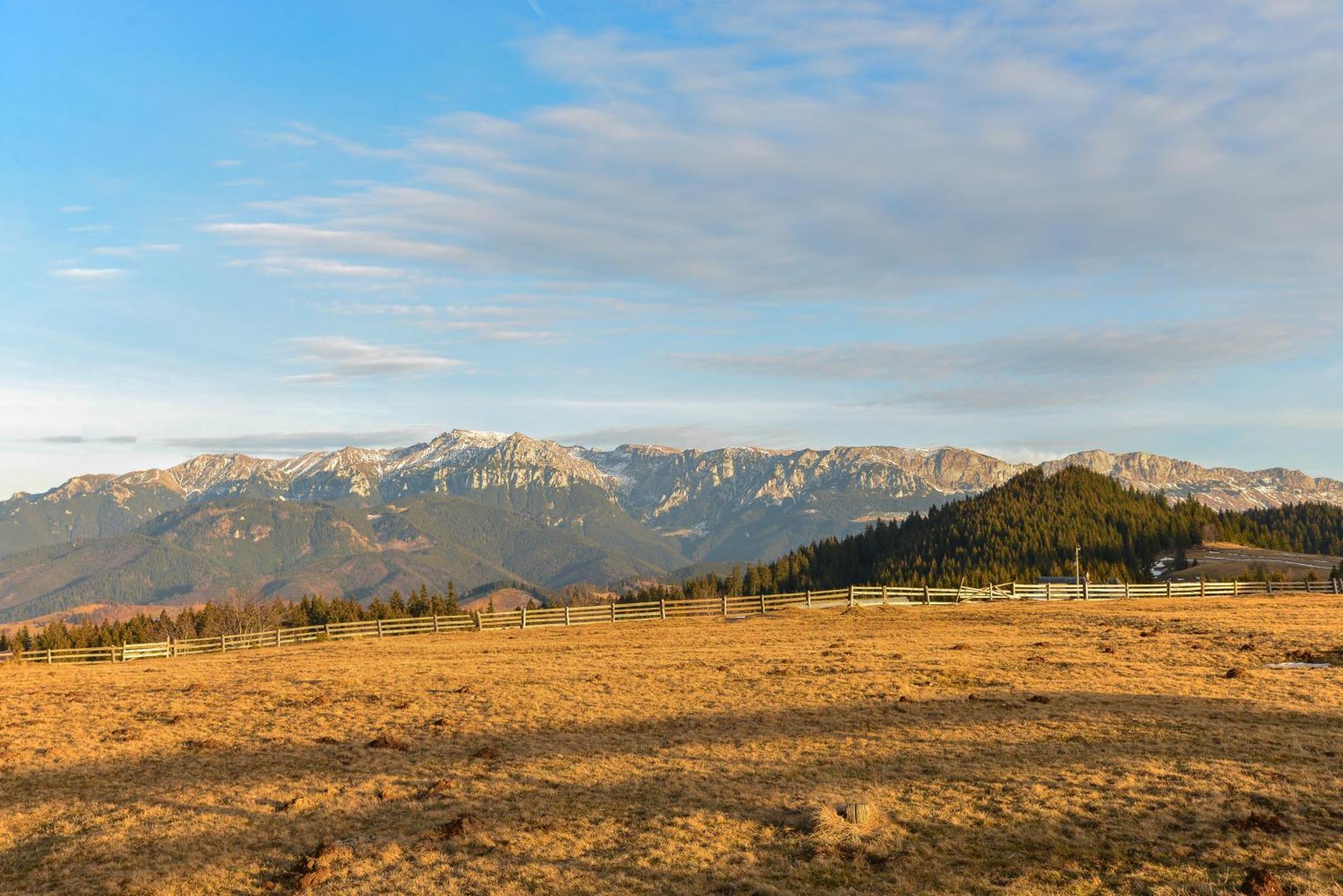 Cheile Gradistei Fundata Resort ภายนอก รูปภาพ